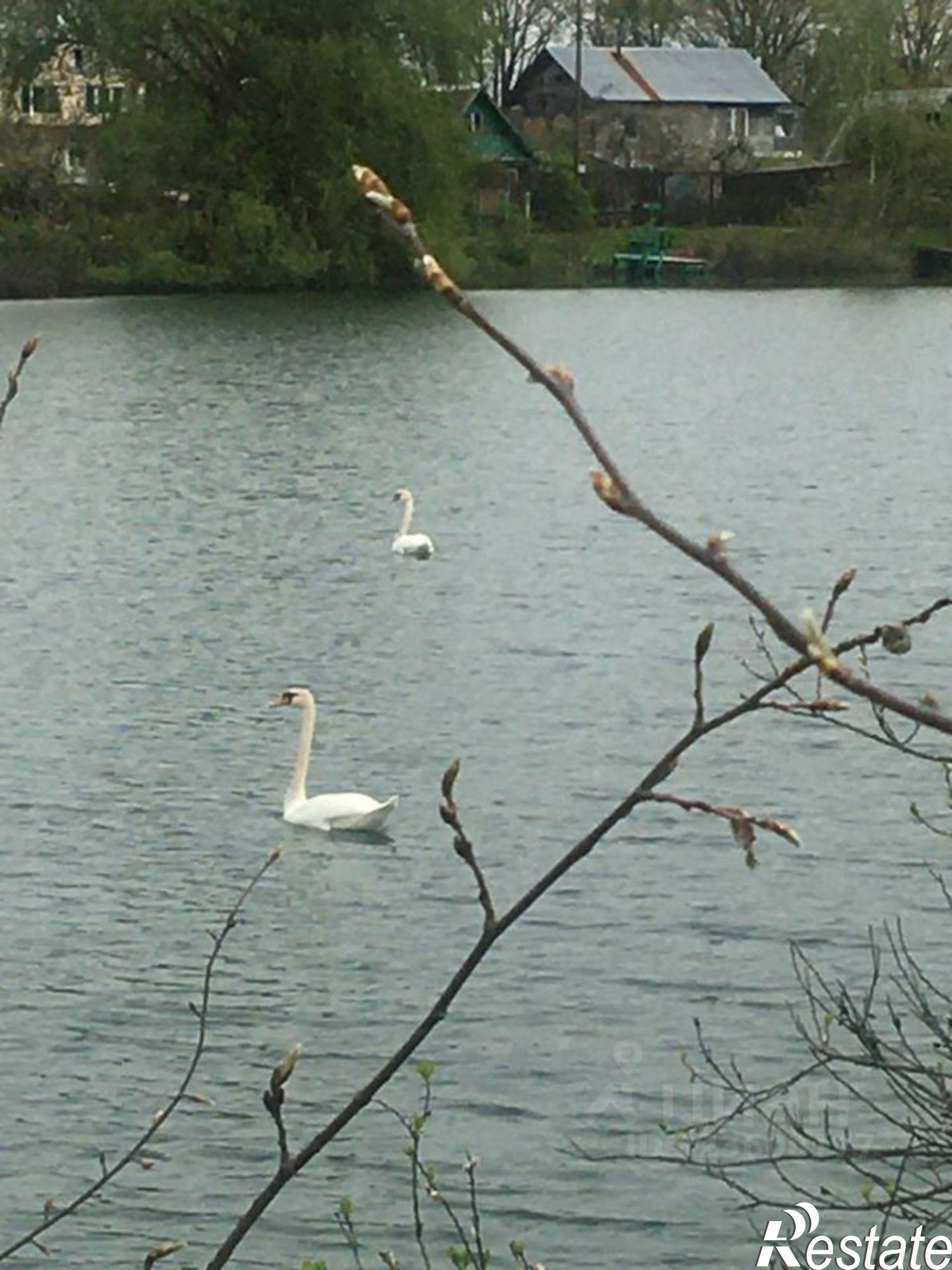 Купить дачу, дом, коттедж за 6 000 000 рублей на Площадь Победы — Софийская
