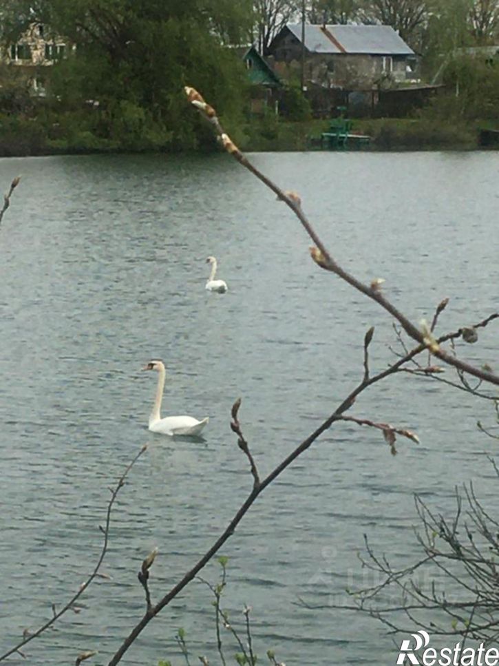 Коттедж/дом Площадь Победы — Софийская