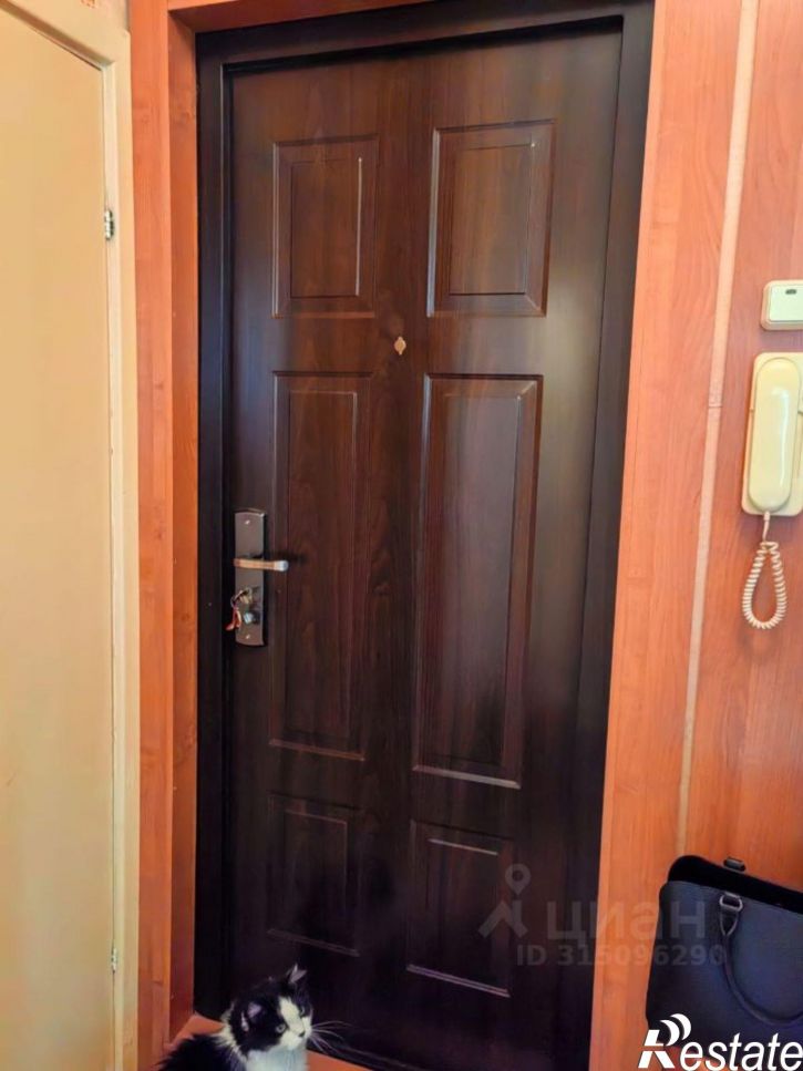 1-комн квартира улица Кочетова, 10 к3,  д. 10 к3